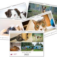 Online-Versteigerung eines Unikats:<br> Der Tierheim-Kalender 2022